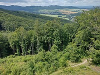 IMG_20240723_125011789_HDR