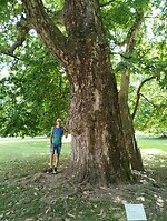 IMG_20240723_153249611