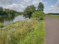 IMG_20240725_102517330_HDR