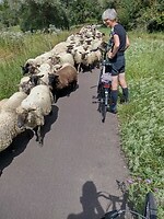 IMG_20240725_114257888_HDR
