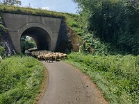 IMG_20240725_114738786_HDR