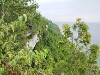 IMG_20240816_104431098