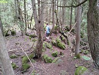 IMG_20240816_104904652