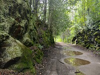 IMG_20240818_143719942