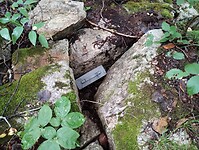 IMG_20240818_154759823