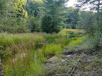 IMG_20240819_190904504