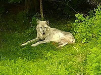 IMG_20240820_112251092