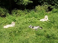 IMG_20240820_112657759