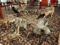 IMG_20240820_114040873