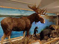 IMG_20240820_114052183_HDR