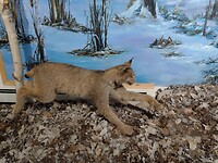 IMG_20240820_114127762