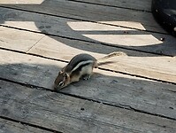 IMG_20240823_104402651