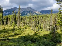 IMG_20240824_090841230_HDR~2