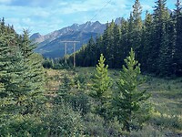 IMG_20240824_095731028_HDR~2