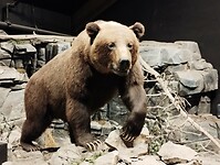 IMG_20240824_124208775