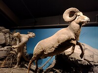 IMG_20240824_124245766