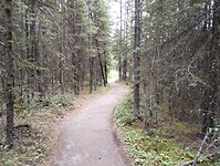 IMG_20240824_134225357