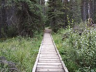 IMG_20240824_134430109