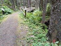IMG_20240824_143716146