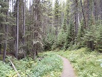 IMG_20240824_143749009