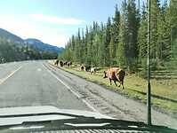 IMG_20240825_084851696