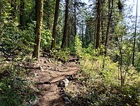 IMG_20240826_094300769_HDR