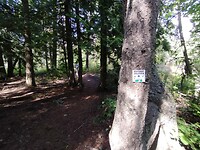 IMG_20240826_102656539