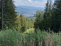 IMG_20240826_134140784_HDR