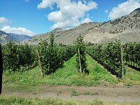 IMG_20240827_131616873