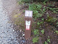 IMG_20240827_170306228