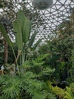 IMG_20240828_122723228_HDR