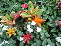 IMG_20240828_122745951