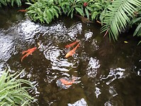 IMG_20240828_122822881