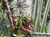 IMG_20240828_122930942