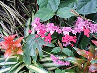 IMG_20240828_123440655