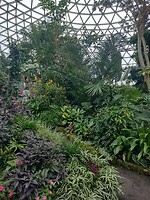 IMG_20240828_123541961_HDR