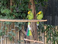 IMG_20240828_123702511