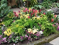 IMG_20240828_124104523