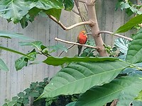 IMG_20240828_124806324