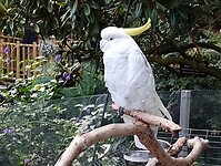 IMG_20240828_124851220