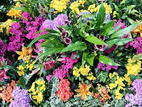 IMG_20240828_124920116