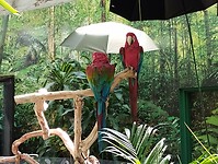 IMG_20240828_125356162