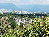 IMG_20240828_130723226