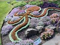 IMG_20240828_132043041_HDR