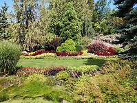 IMG_20240828_132316462