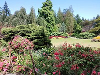 IMG_20240828_132503889