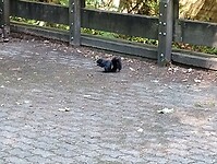IMG_20240829_153742446