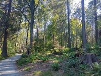 IMG_20240829_160129729