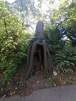 IMG_20240829_163704064