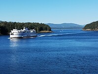 IMG_20240830_084253045